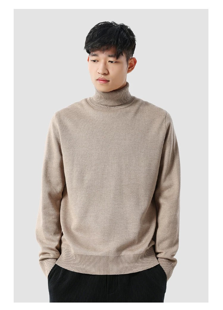Eleganter Rollkragenpullover