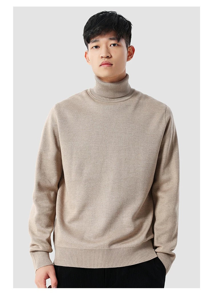 Eleganter Rollkragenpullover