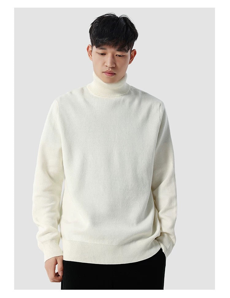 Eleganter Rollkragenpullover