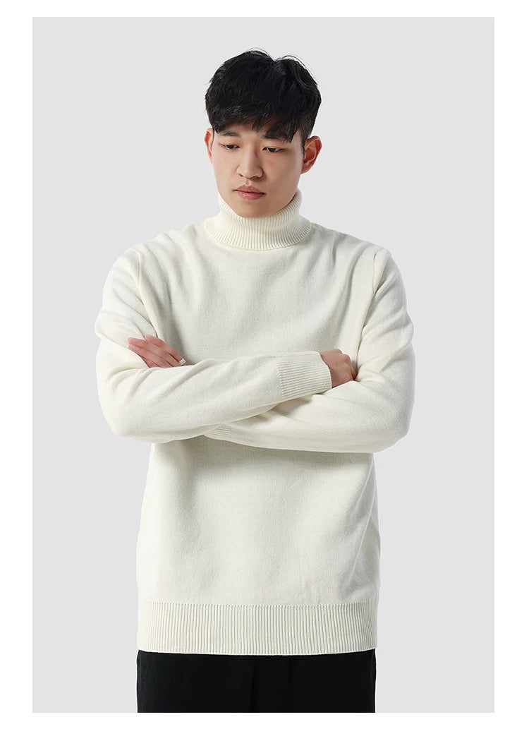 Eleganter Rollkragenpullover