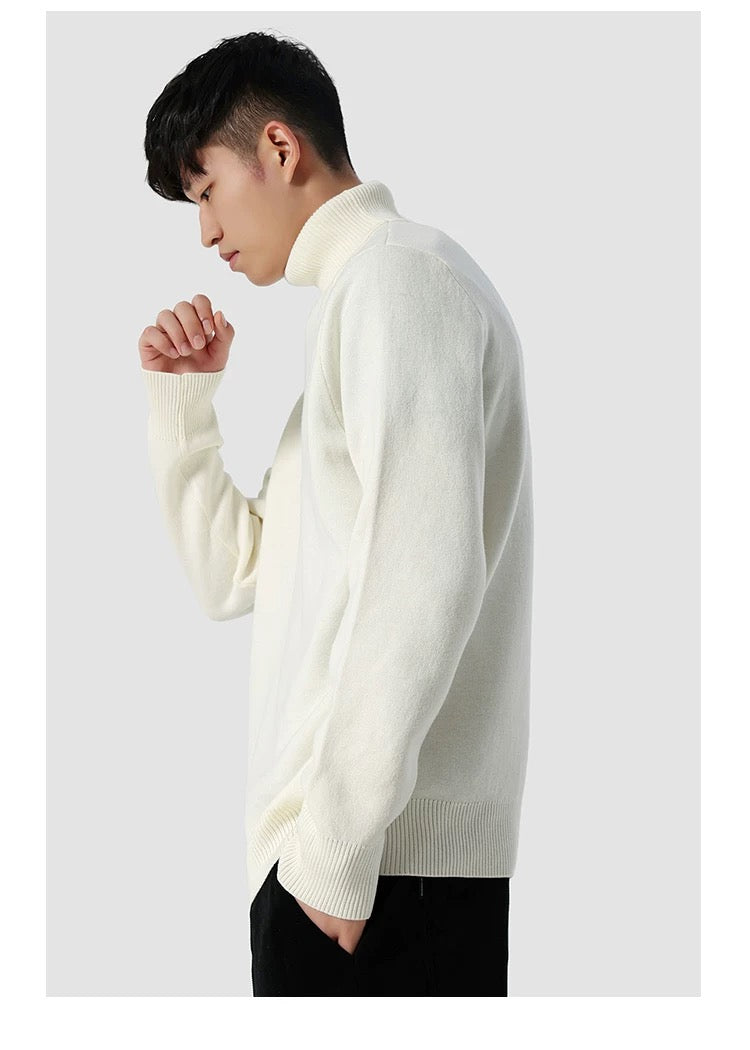 Eleganter Rollkragenpullover