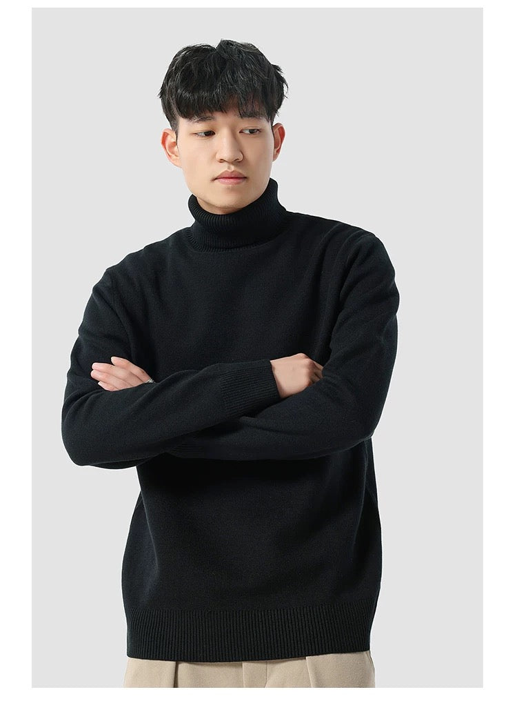 Eleganter Rollkragenpullover