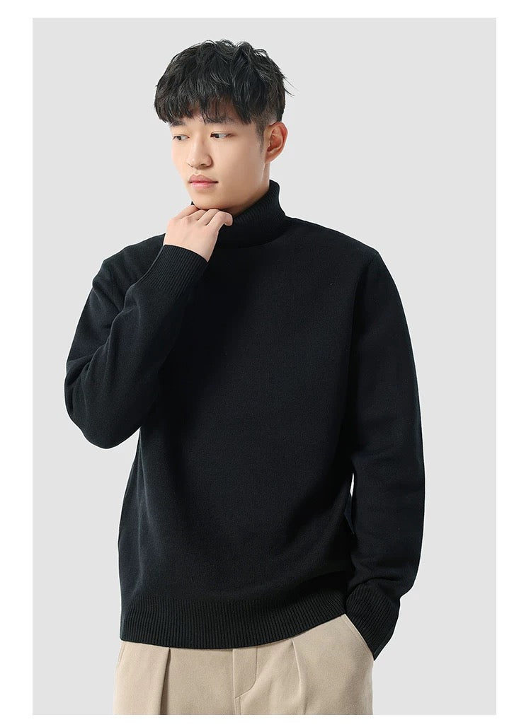 Eleganter Rollkragenpullover